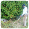 Jardinage